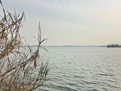 -漕湖湿地公园
