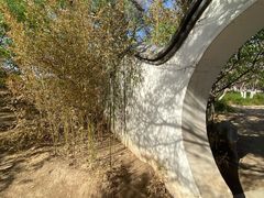 -桃花堤公园