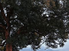 -东钱湖旅游度假区