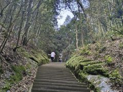 -缙云山景区