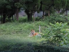 -济南野生动物世界