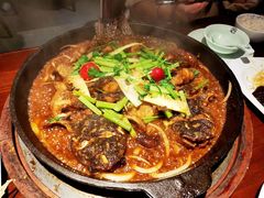 -老板恋上鱼(高新万达店)