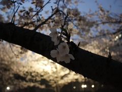 -朱阿根烧饼(赤峰路店)