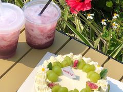 -可丽可丽·生日蛋糕·下午茶
