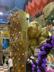 -卡通尼·Safari非洲探索乐园·生日会(金桥国际商业广场店)