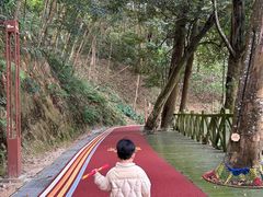 -广州市流溪河国家森林公园