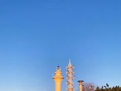 -渡海小渔村.老辈日照菜