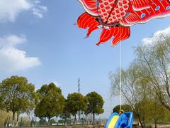 -漕湖湿地公园