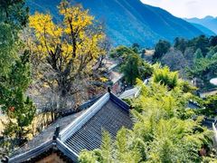 -潭柘寺景区