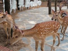 -南戴河国际娱乐中心