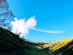 -老英格兰庄园