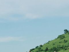 -大姆山草场
