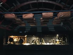 -抚顺煤矿博物馆