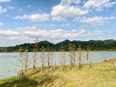 -东钱湖旅游度假区