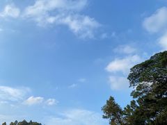 -三水森林公园