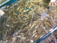 -仙螺岛海鲜自助餐厅(总店)