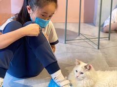 -猫儿山۰猫主题餐厅