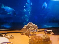 -迪拜帆船酒店海底餐厅