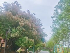-孙子文化园