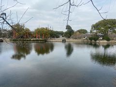 -无锡蠡湖国家湿地公园-蠡园