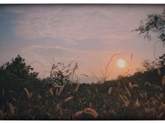 -鬼笑石后山停车场