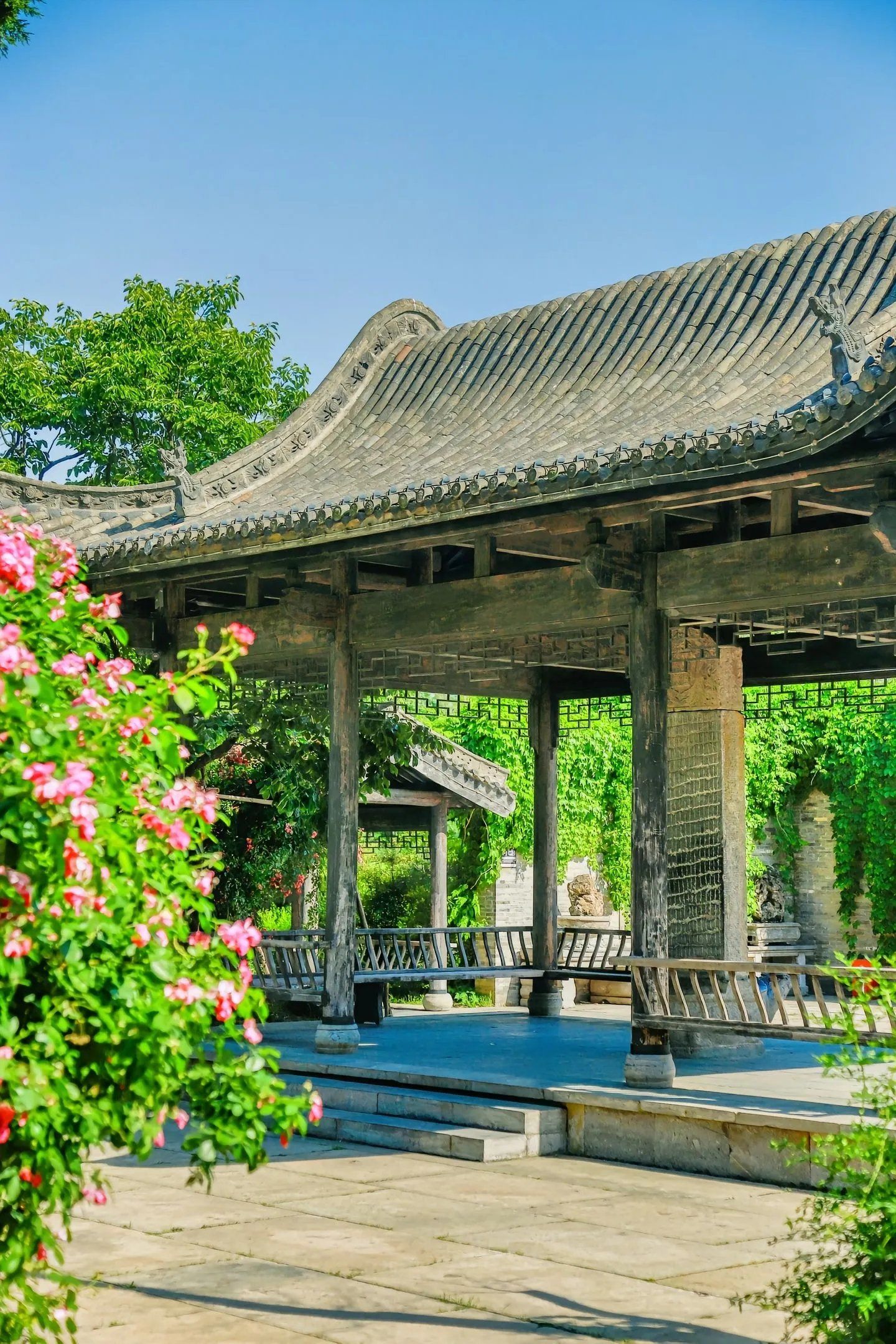 在阜阳|周末好去处——颍上尤家花园