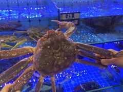 -日照大牌檔•小船海鲜(万平口店)