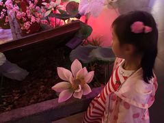 -韵秋荷(宝山龙湖天街店)
