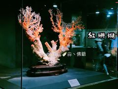 -台北故宫博物院