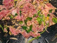 -杨小佳·齐齐哈尔烤肉·烤串(广州店)