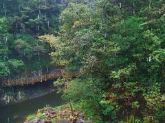 -永泰中国云顶