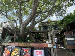-城墙外BAR