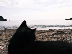 -布德瓦老城