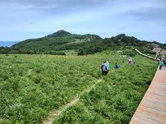 -白草畔自然风景区