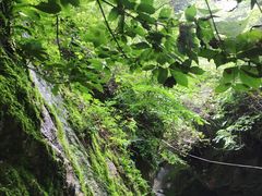 -九龙潭景区