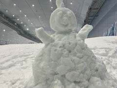 -哈尔滨热雪奇迹