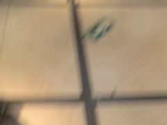 -比格比萨自助(花园路店)