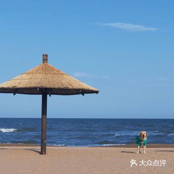 趁着淡季，去放松一下，看看大海