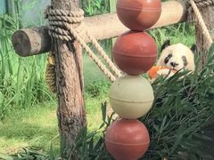 -大连森林动物园