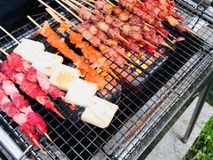 -崇明东平国家森林公园烧烤房车露营地