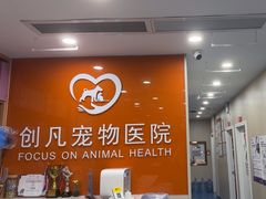 -创凡宠物医院·骨专科  猫科中心(西乡分院)