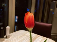 -郑州希尔顿酒店·阿米奇意大利餐厅