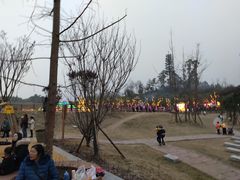 -黄龙溪欢乐田园