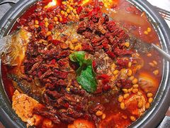 -探鱼·鲜青椒爽麻烤鱼(广州花都来又来店)