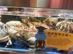 -盒马X会员店(王府井奥莱UP TOWN店)