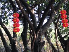 -广州雕塑公园