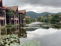 -广州都喜泰丽温泉度假酒店