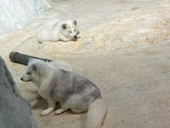 -珠海长隆海洋王国