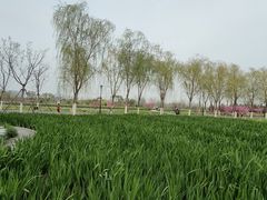 -永定河休闲森林公园