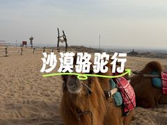 -黄沙古渡原生态旅游区